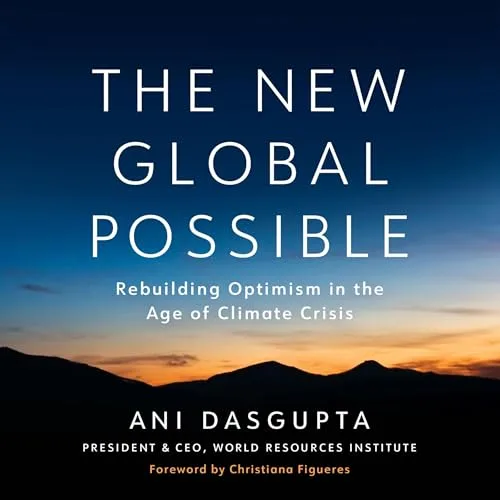 The New Global Possible By Ani Dasgupta